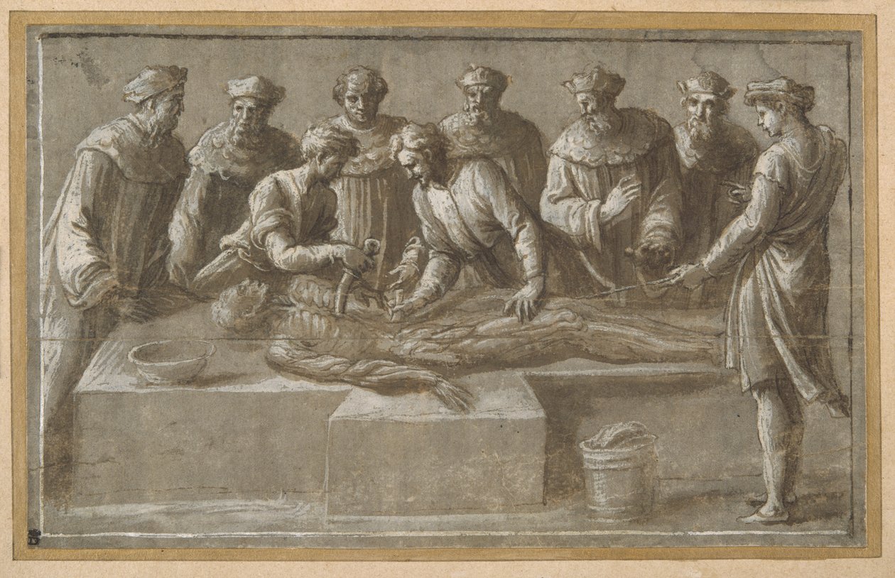 Zes professoren in de anatomie, die een gevilde mannelijke lijk ontleden door Biagio Pupini