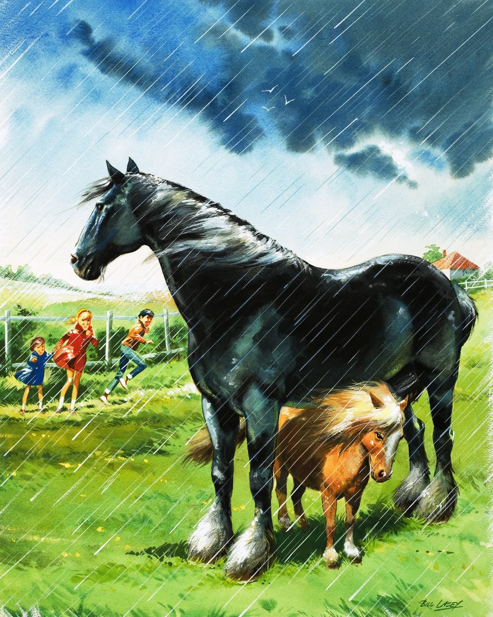 Veulen schuilt voor slecht weer onder een ander paard door Bill Lacey