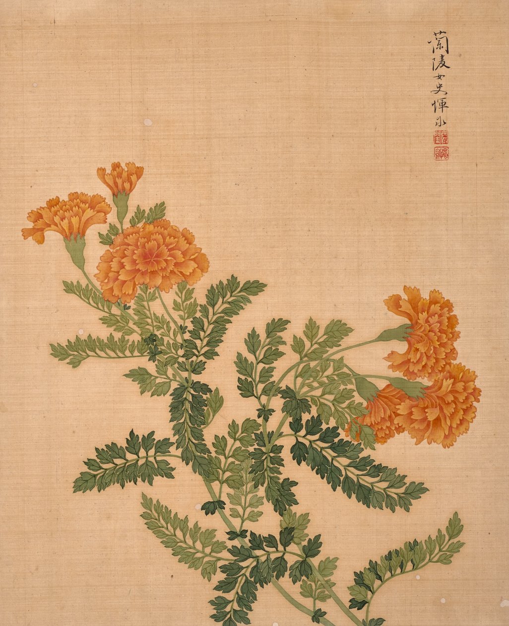 Bloemenalbum (inkt en kleur op zijde) door Bing Yun