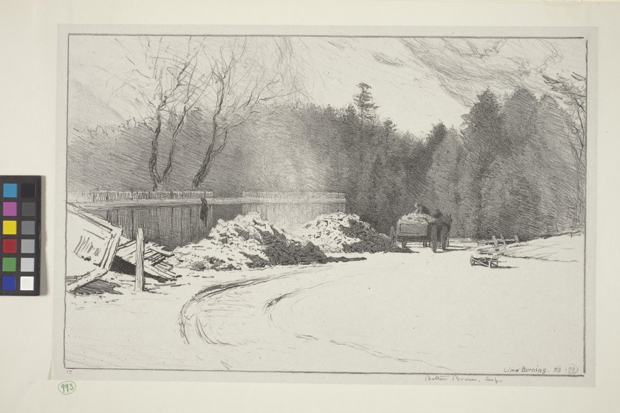 Kalkbranden door Bolton Coit Brown