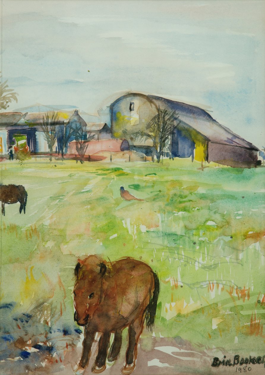 Pony in de Boerderijweide, East Green, 1980 door Brenda Brin Booker