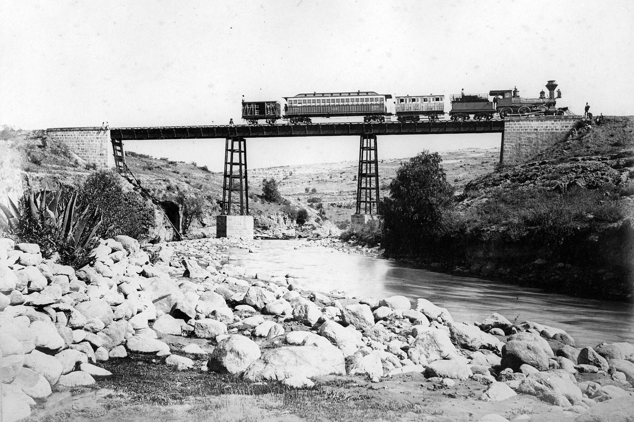Trein die een brug oversteekt in de Britse West-Indië door British Photographer