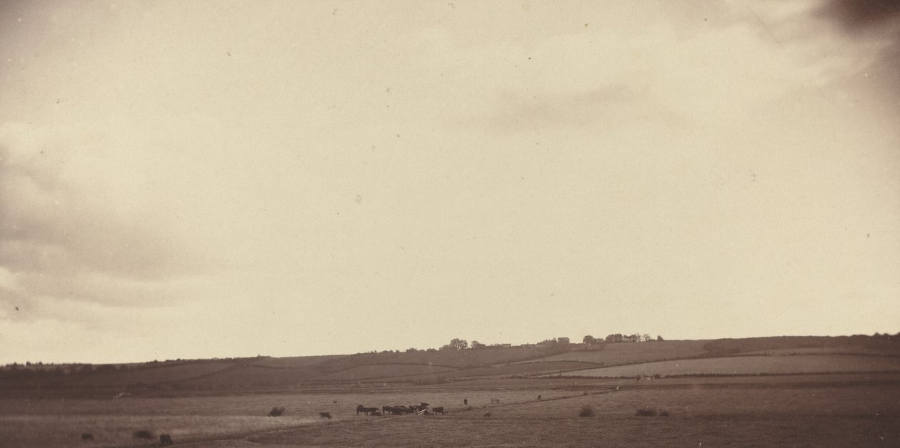 Uitzicht op velden met koeien door British 19th Century