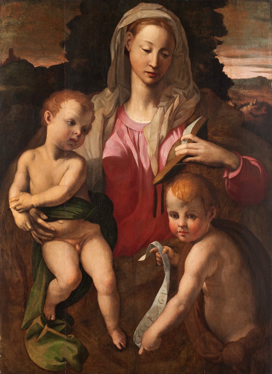 Madonna met kind en Johannes de Doper door Bronzino
