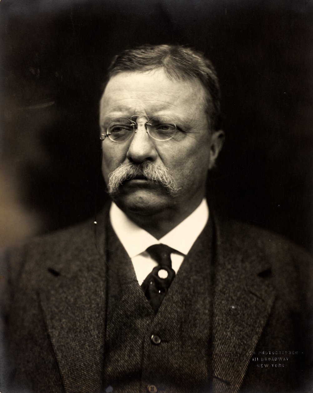 Theodore Roosevelt, ca. 1915 door Brothers Pach