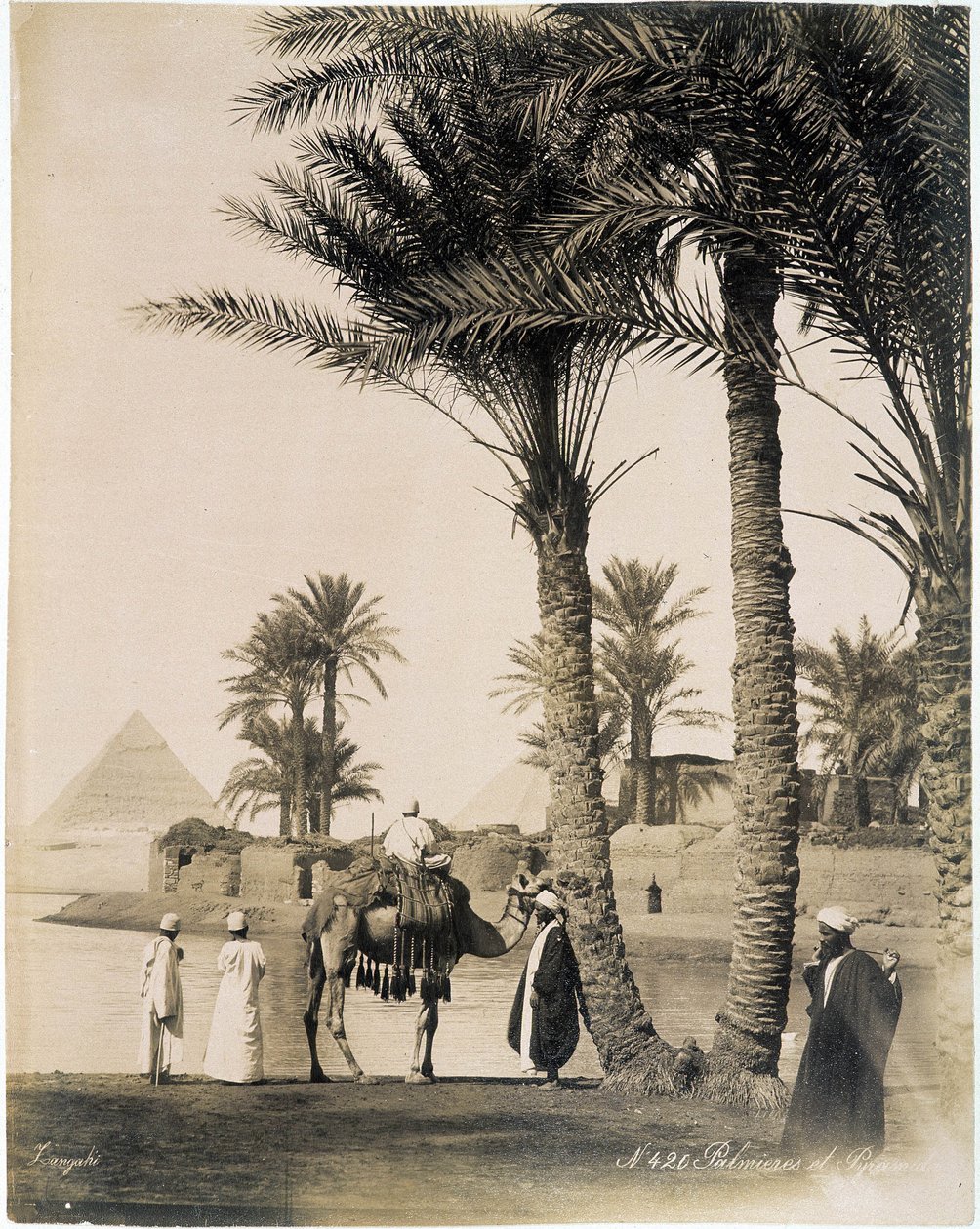 Palmbos aan de voet van de piramides van Egypte - foto van de Zangali broers, eind 19e eeuw door Brothers Zangaki