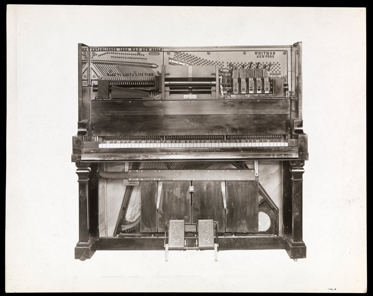 Een pianola, 1915-16 (zilveren gelatin afdruk) door Byron Company