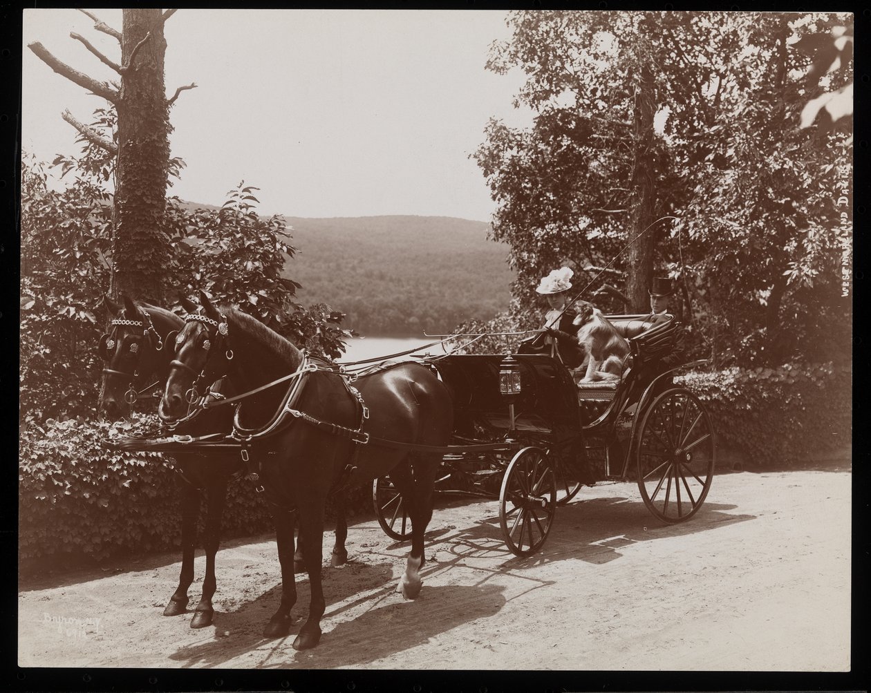 Een vrouw en een hond in een door paarden getrokken koets, 1899 door Byron Company