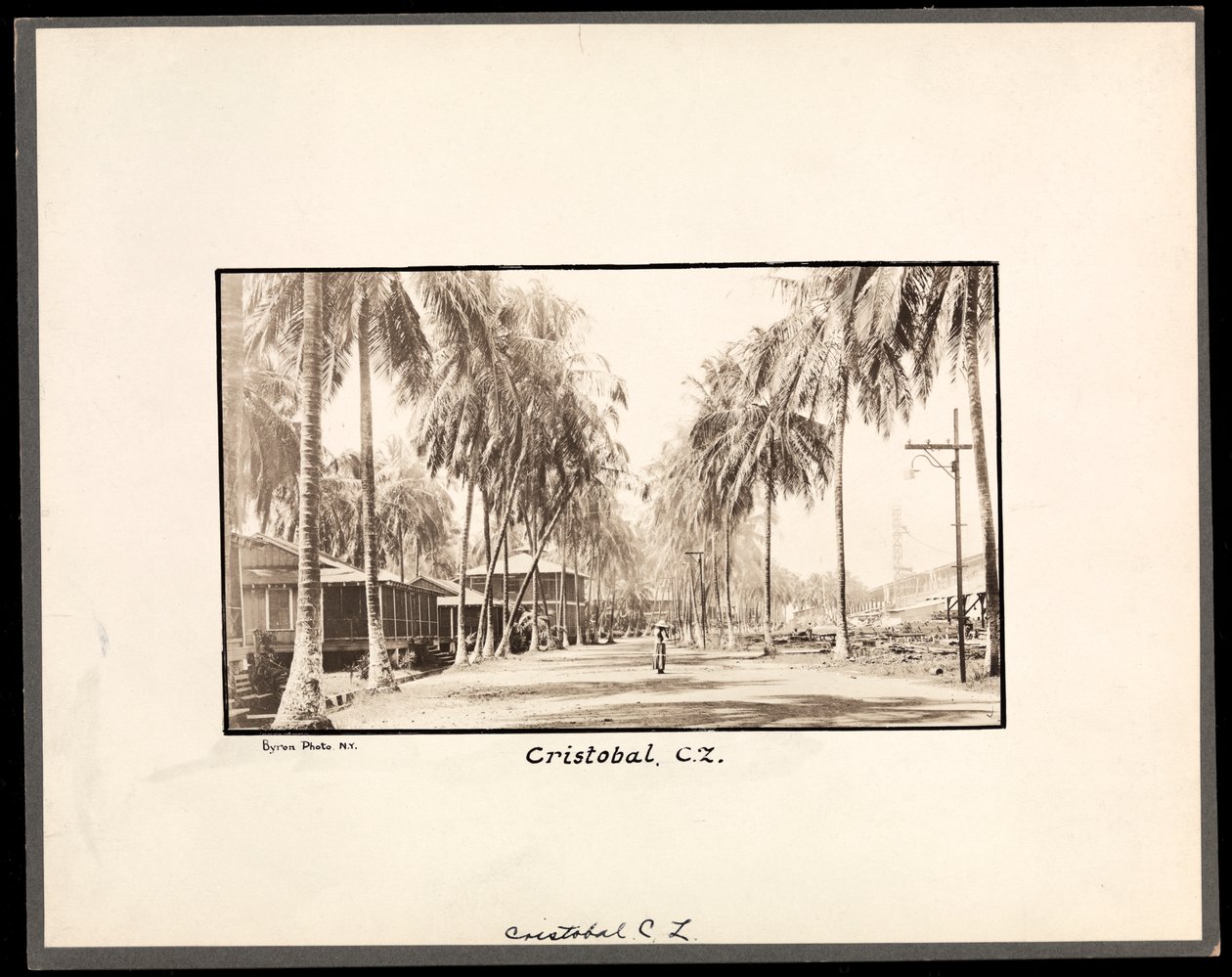 Uitzicht op een met palmbomen omzoomde onverharde weg door Cristobal, Panama, tijdens de aanleg van het kanaal, 1912 of 1913 door Byron Company