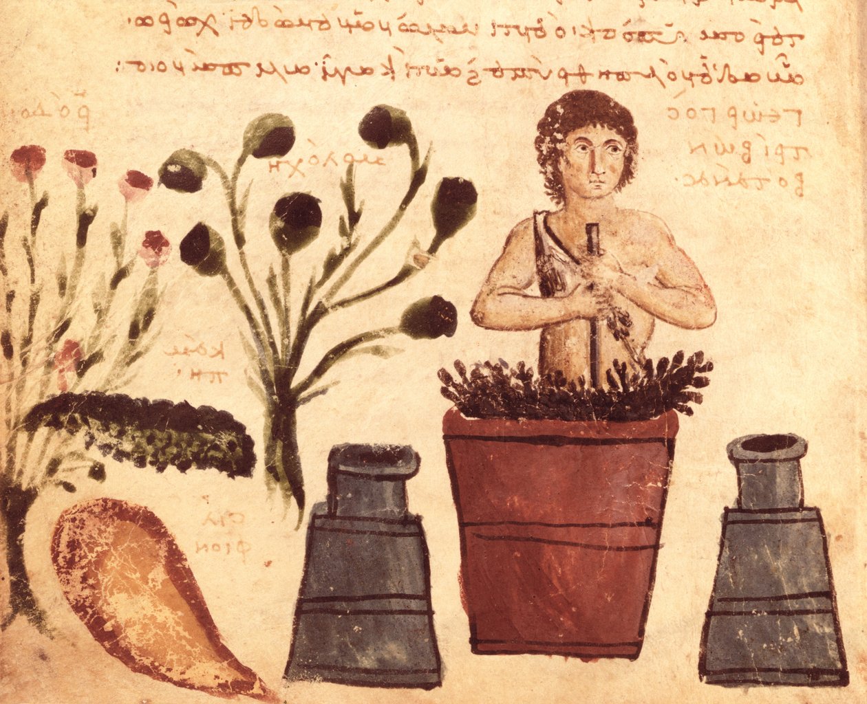 Een boer bereidt een zalf om te beschermen tegen slangen, uit de Theriaca van Nicander van Colophon (fl. 2e eeuw v.Chr.) door Byzantine