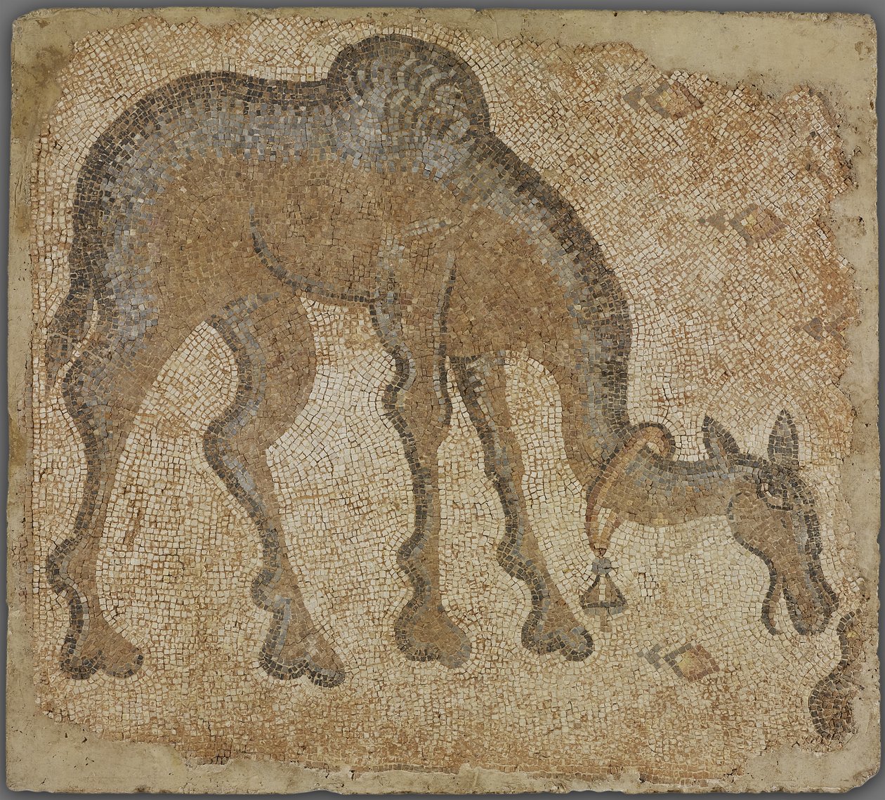 Mozaïekfragment met grazende kameel door Byzantine