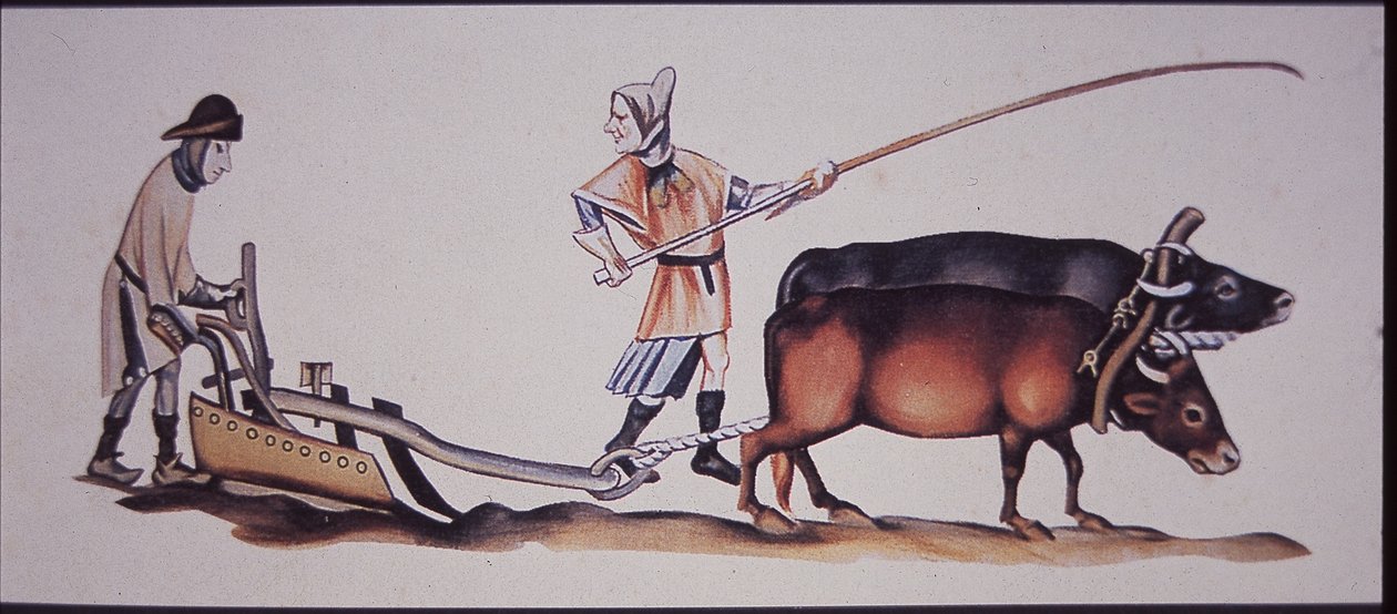 Middeleeuwse mannen ploegen met ossen, uit een scène uit de Luttrell Psalter door J.B. and Brown J. Rowbotham