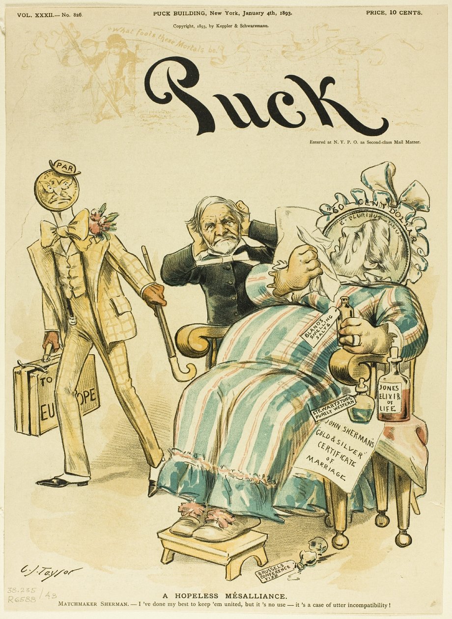 Een hopeloze verbintenis, van Puck door C. Jay Taylor