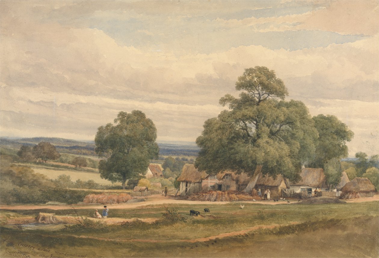 Emerey Down bij Lyndhurst, New Forest, Hants (aquarel en grafiet op papier) door C. John Mayle Whichelo