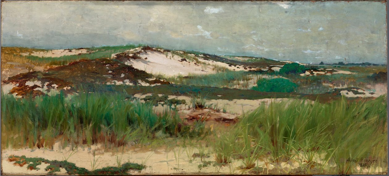 Nantucket zandduin door C. Morgan McIlhenney