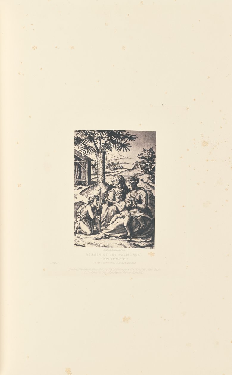 Maagd van de Palmboom, Gegraveerd door M. Antonio door Caldesi and Montecchi