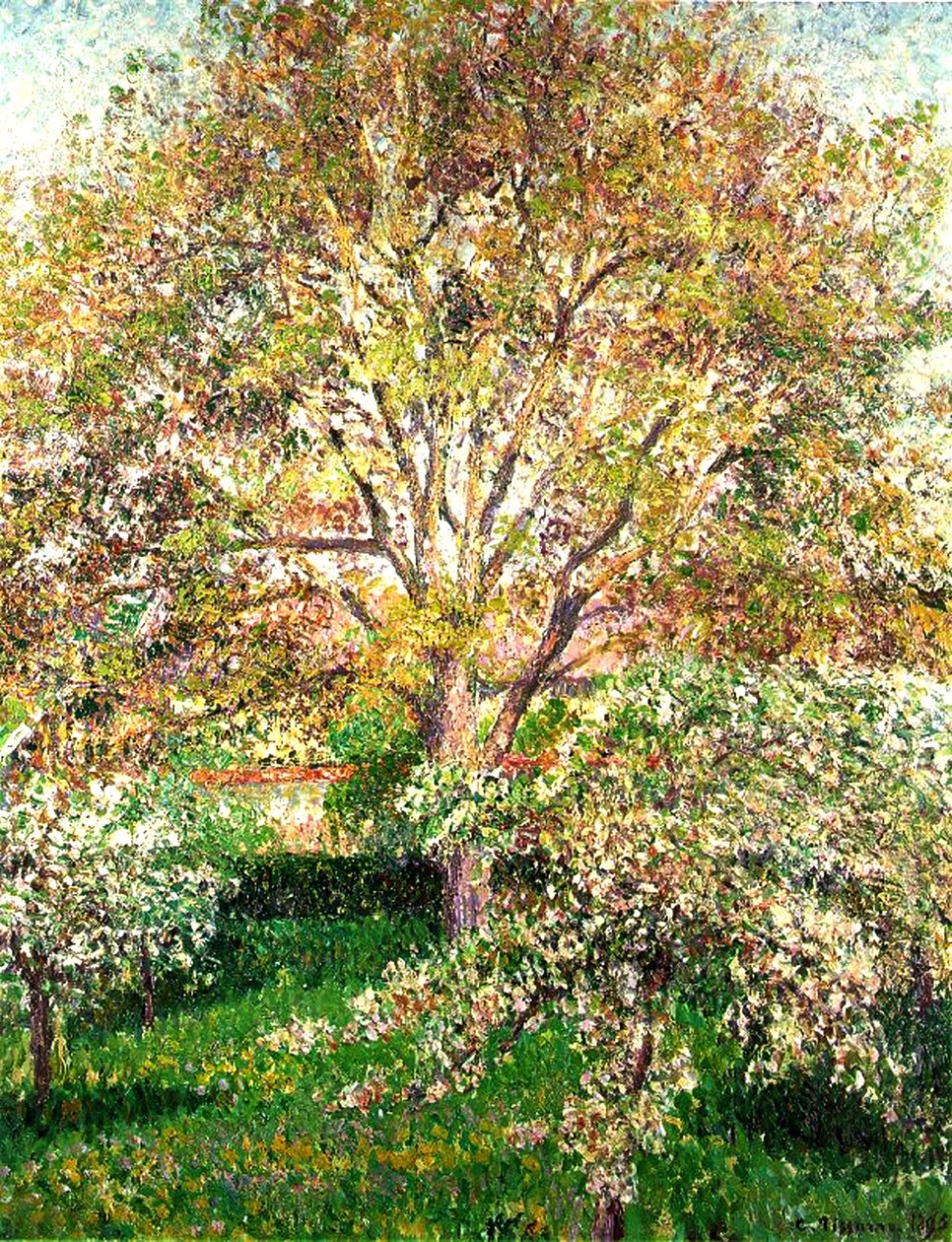 Bomen in bloei in Eragny, 1895 door Camille Jacob Pissarro
