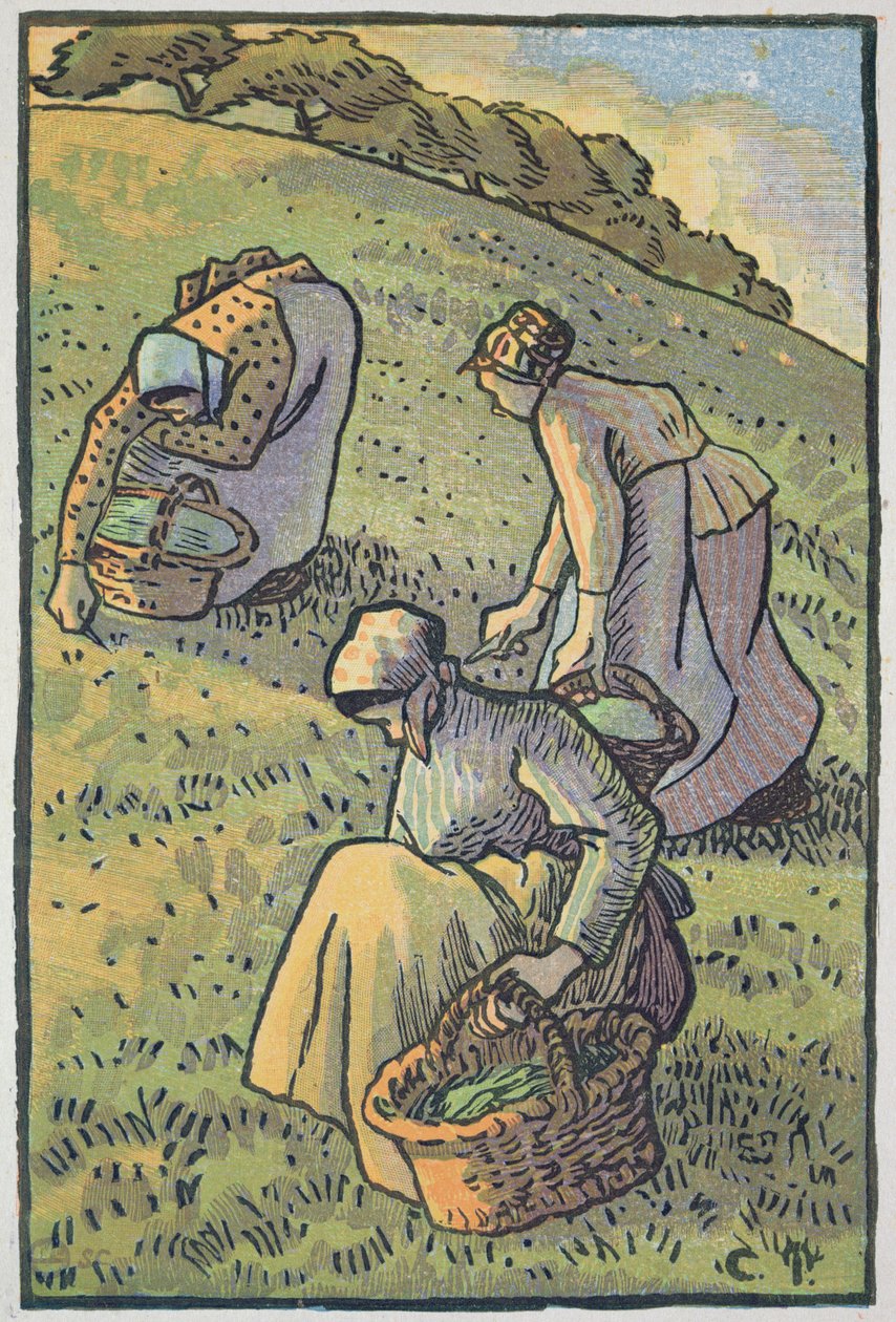 Vrouwen die Paddenstoelen Verzamelen, uit 