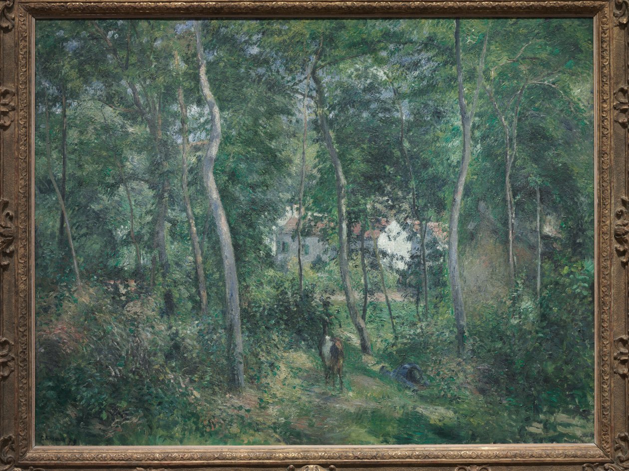 Rand van het Bos bij L