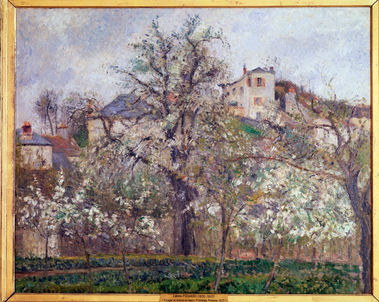 Lente, pruimenbloesems in Pontoise door Camille Jacob Pissarro