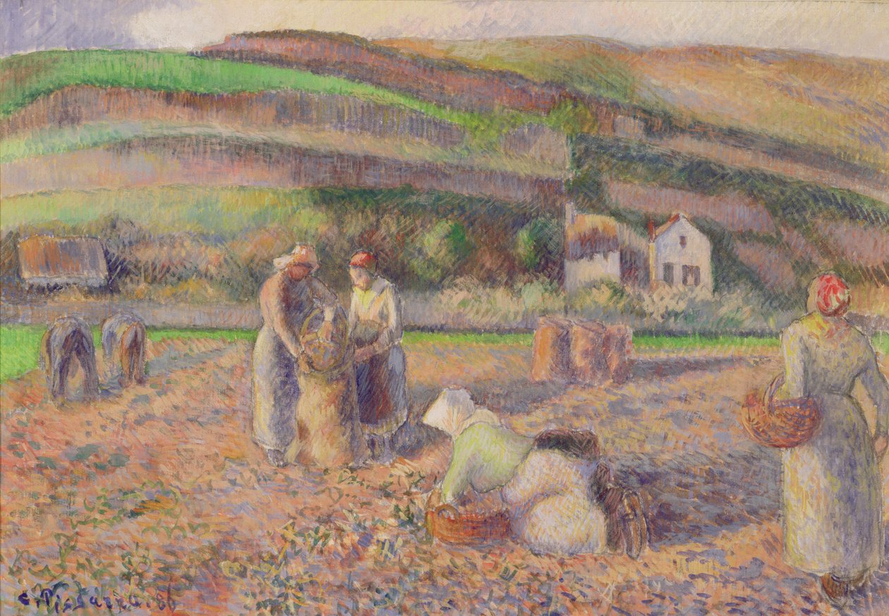 De Aardappeloogst door Camille Jacob Pissarro