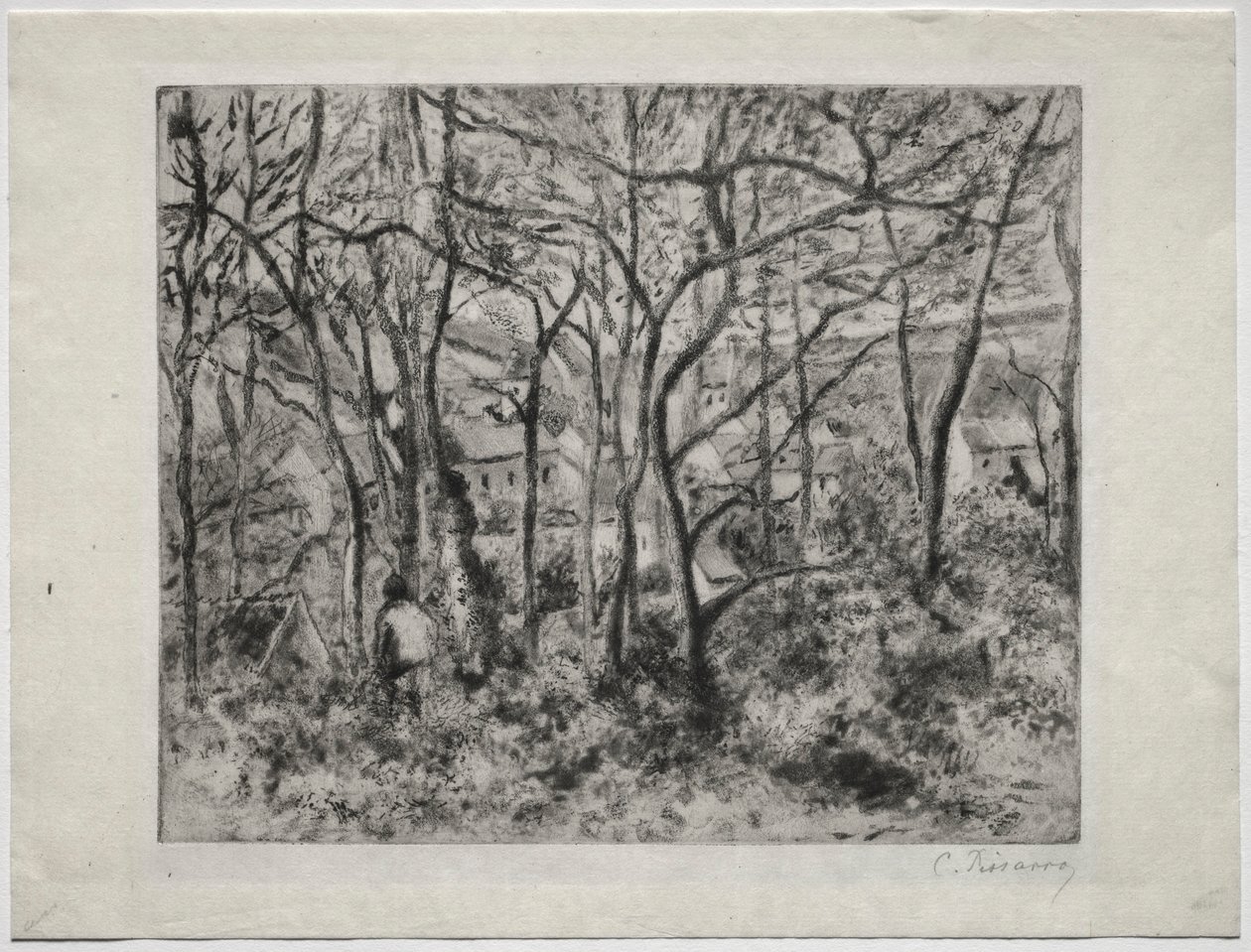 Bosrijk Landschap bij L