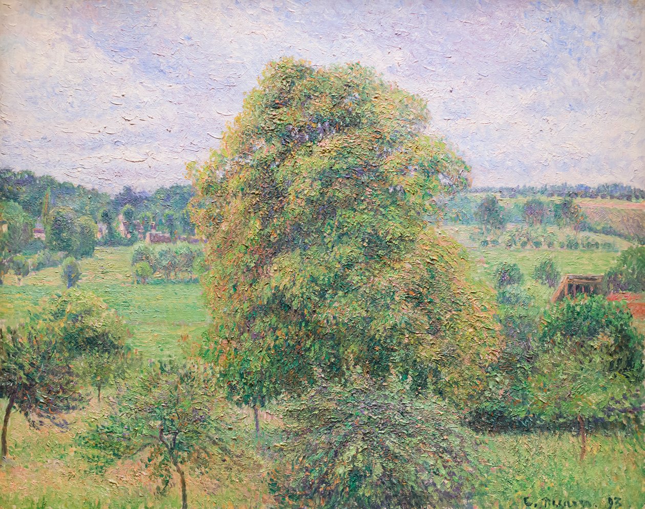 Grote walnotenboom bij Eragny door Camille Pissarro