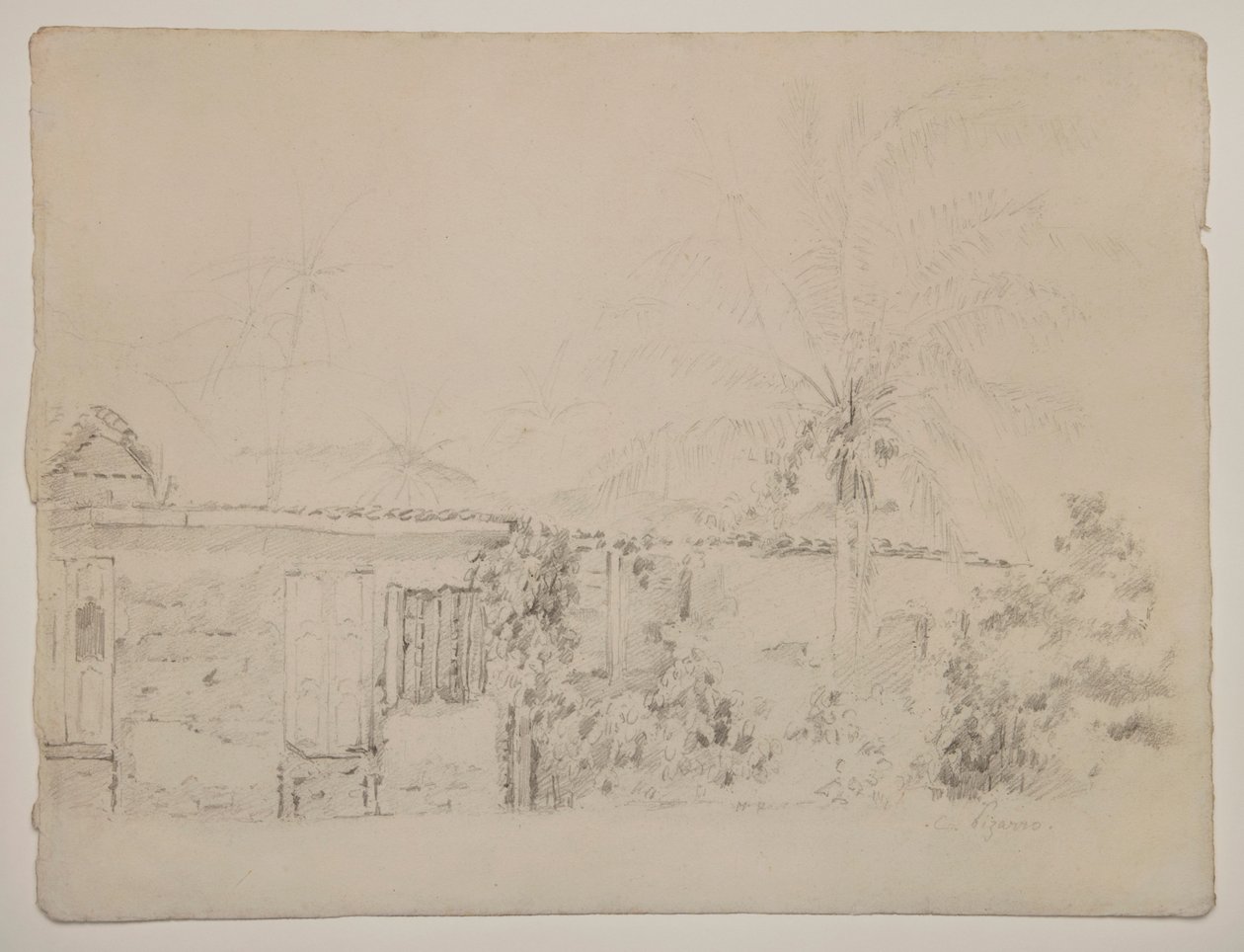 Huizen en palmbomen door Camille Pissarro