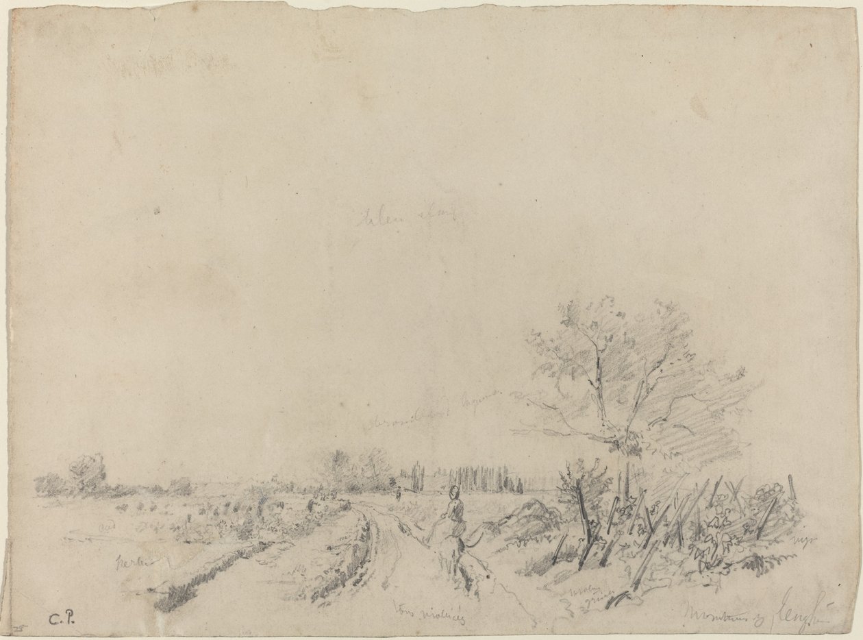Montmorency Road door Camille Pissarro