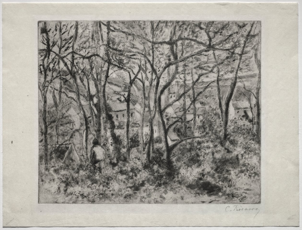 Bosrijk Landschap bij L
