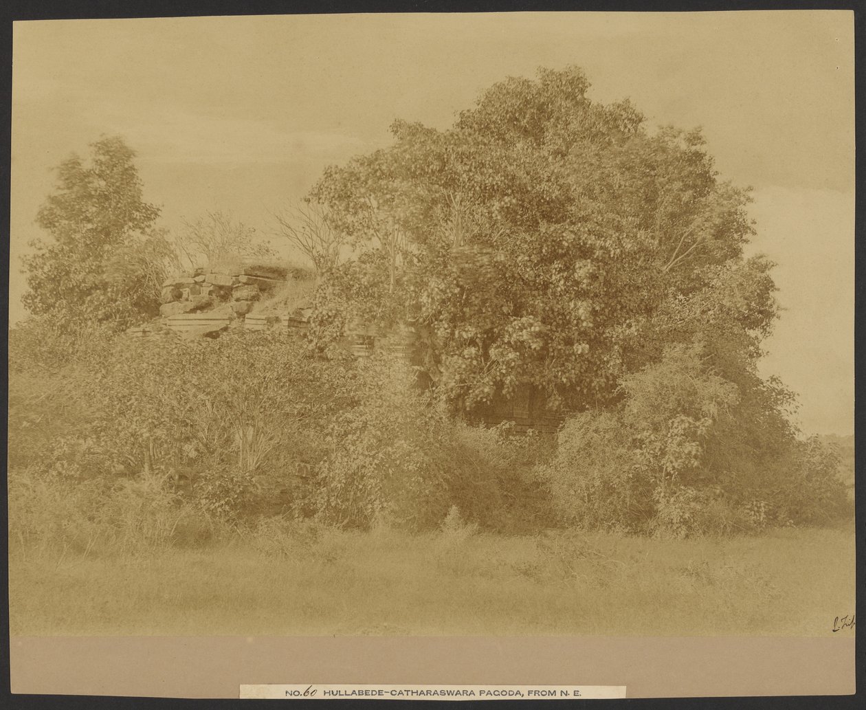 Hullabede - Catharaswama Pagode, vanuit het noordoosten door Capt. Linnaeus Tripe