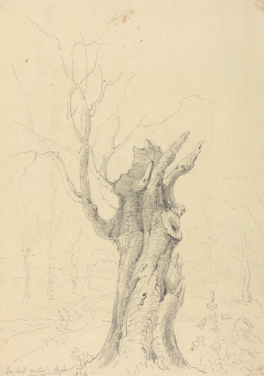 In Lord Yarborough