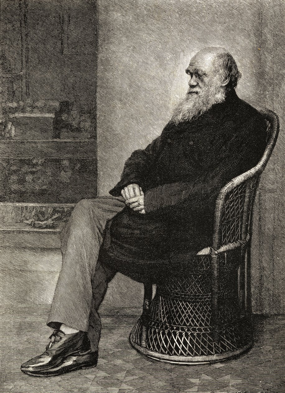 Charles Darwin, illustratie uit 