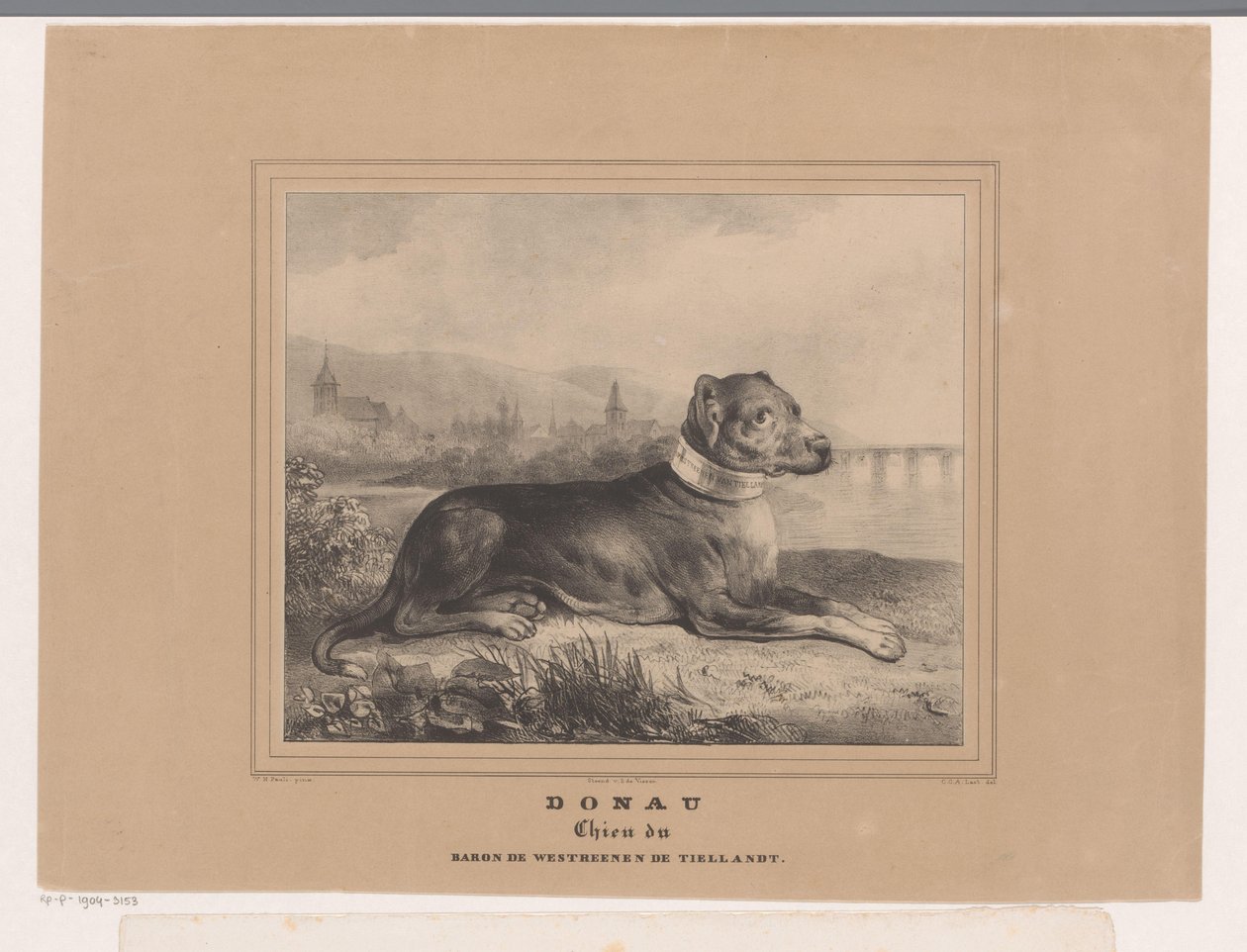Hond Donau door Carel Christiaan Antony Last