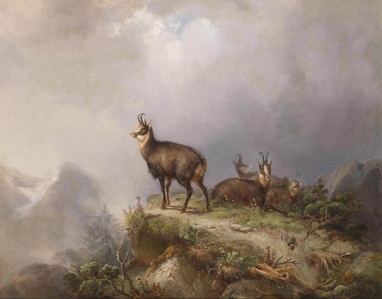 Gemzen door Carl Friedrich Ockert