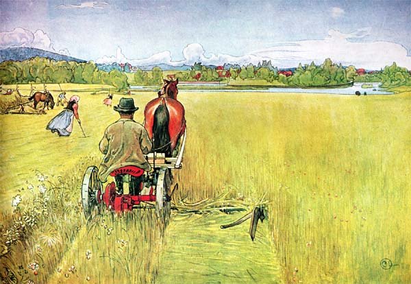 Zomer door Carl Larsson