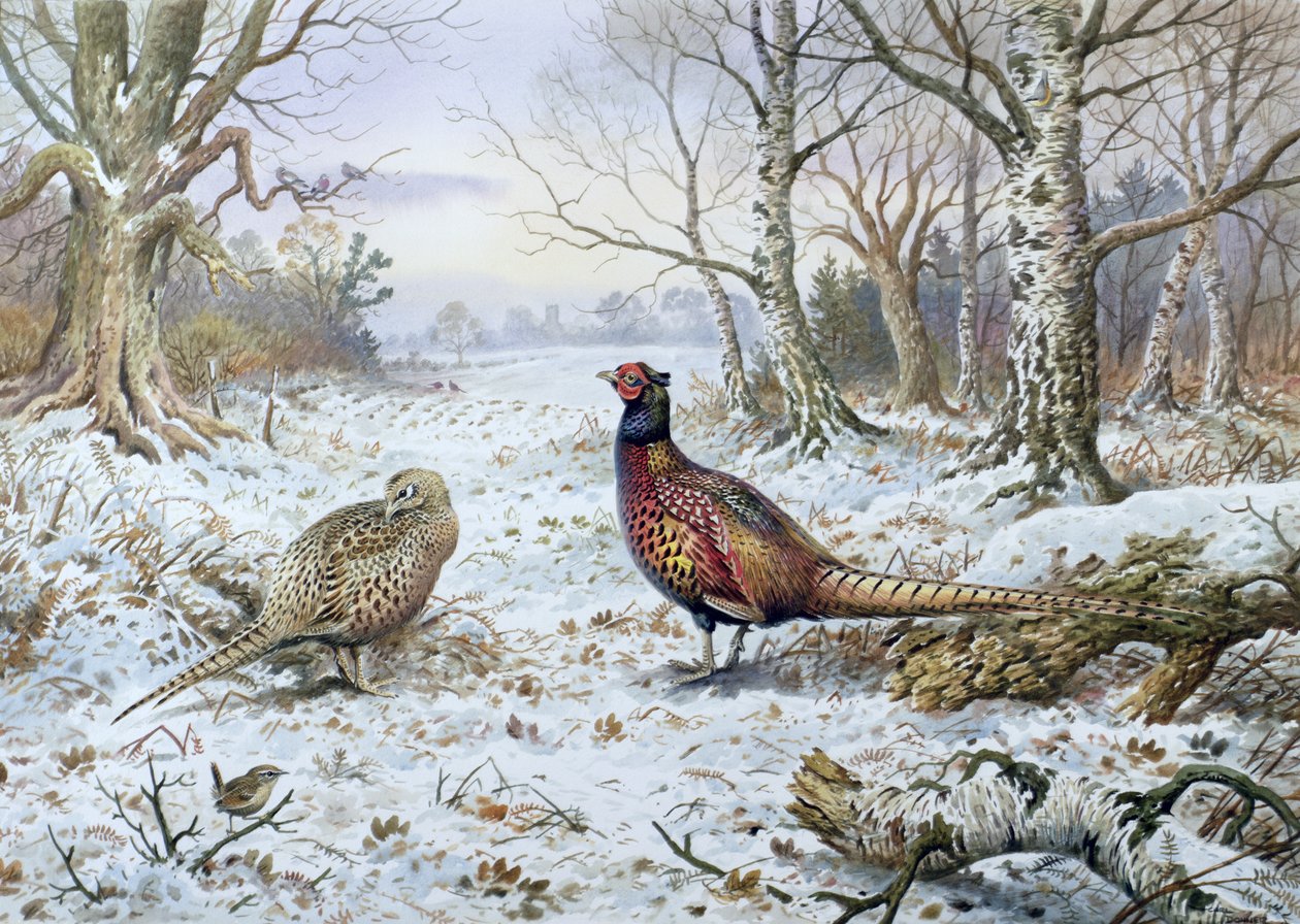 Paar fazanten met een winterkoninkje door Carl Donner