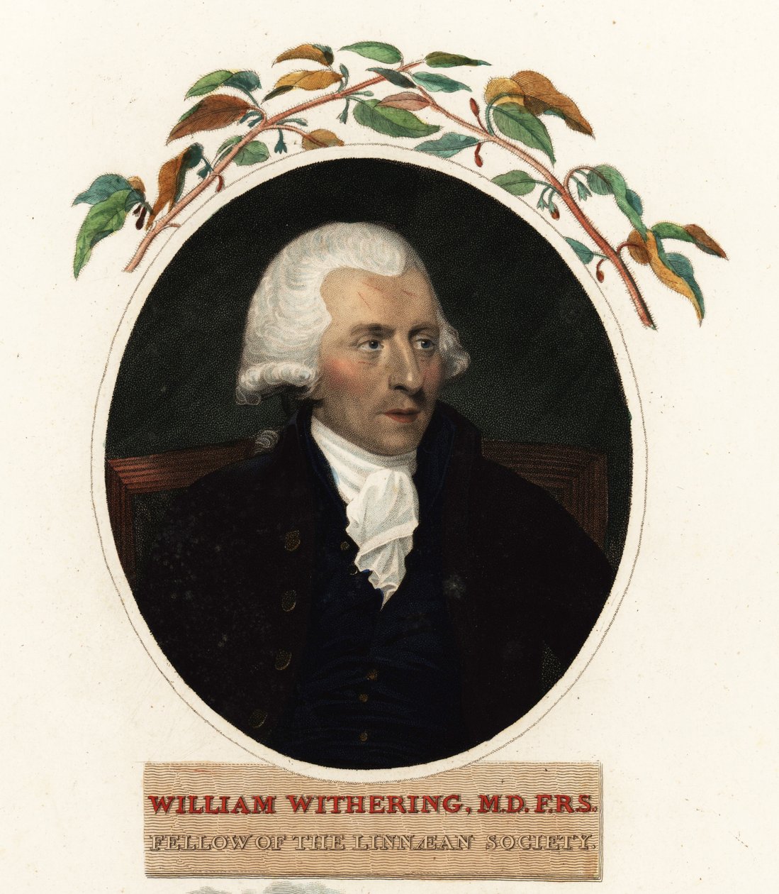 Portret van William Withering, arts en botanicus door Carl Frederik van (after) Breda