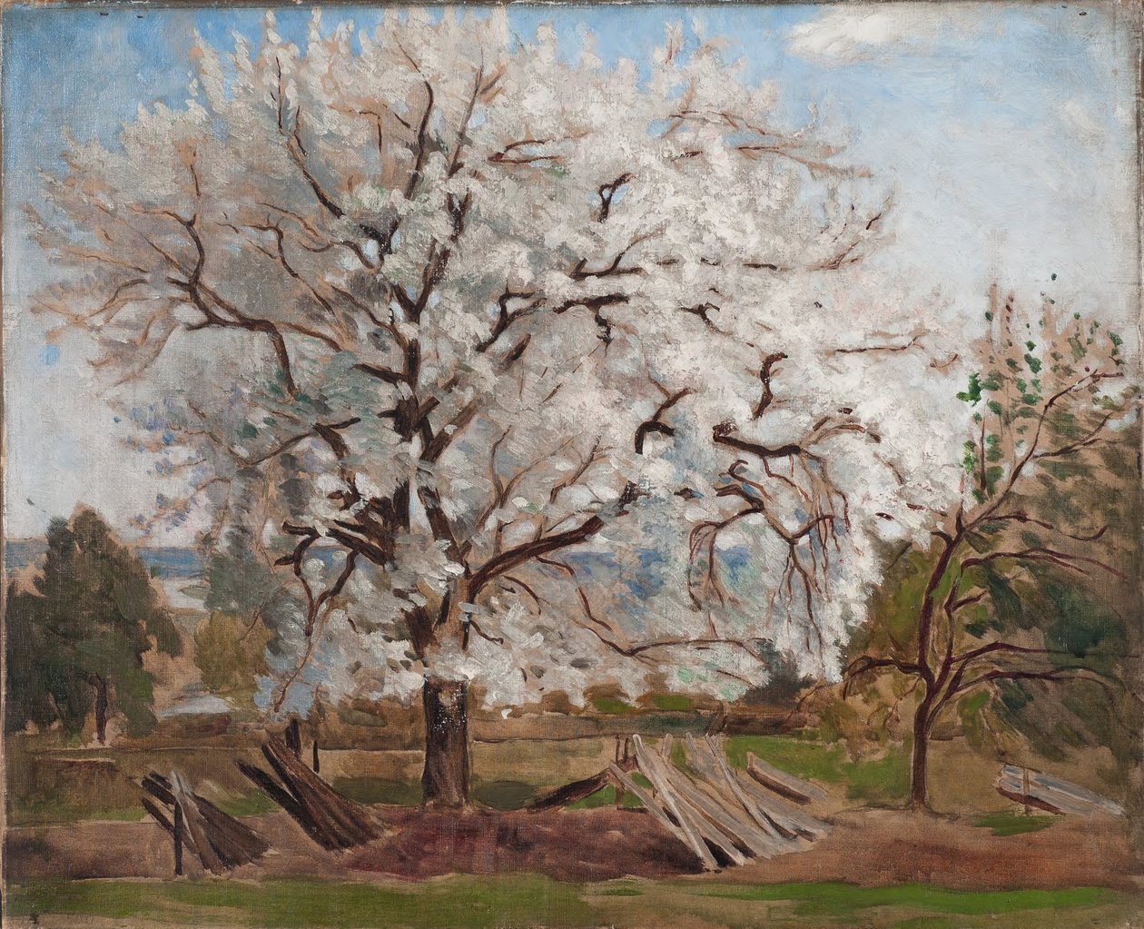 Appelboom in bloei door Carl Fredrik Hill