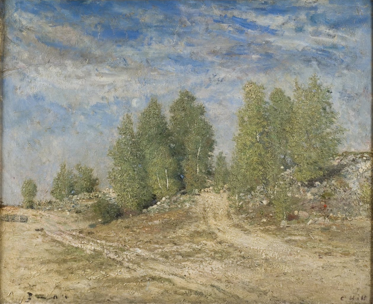Grindhelling door Carl Fredrik Hill