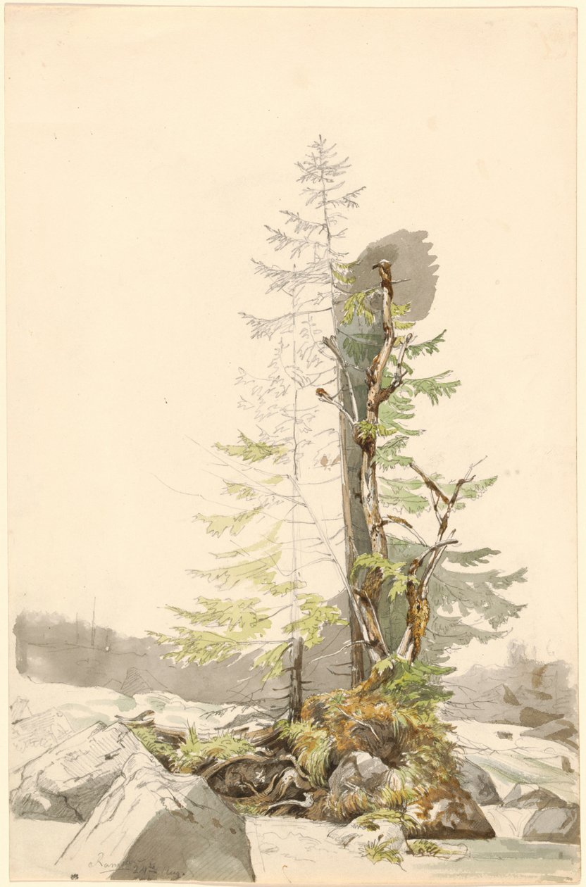 Een groepje bomen bij een rotsachtige beek in Ramsau door Carl Morgenstern