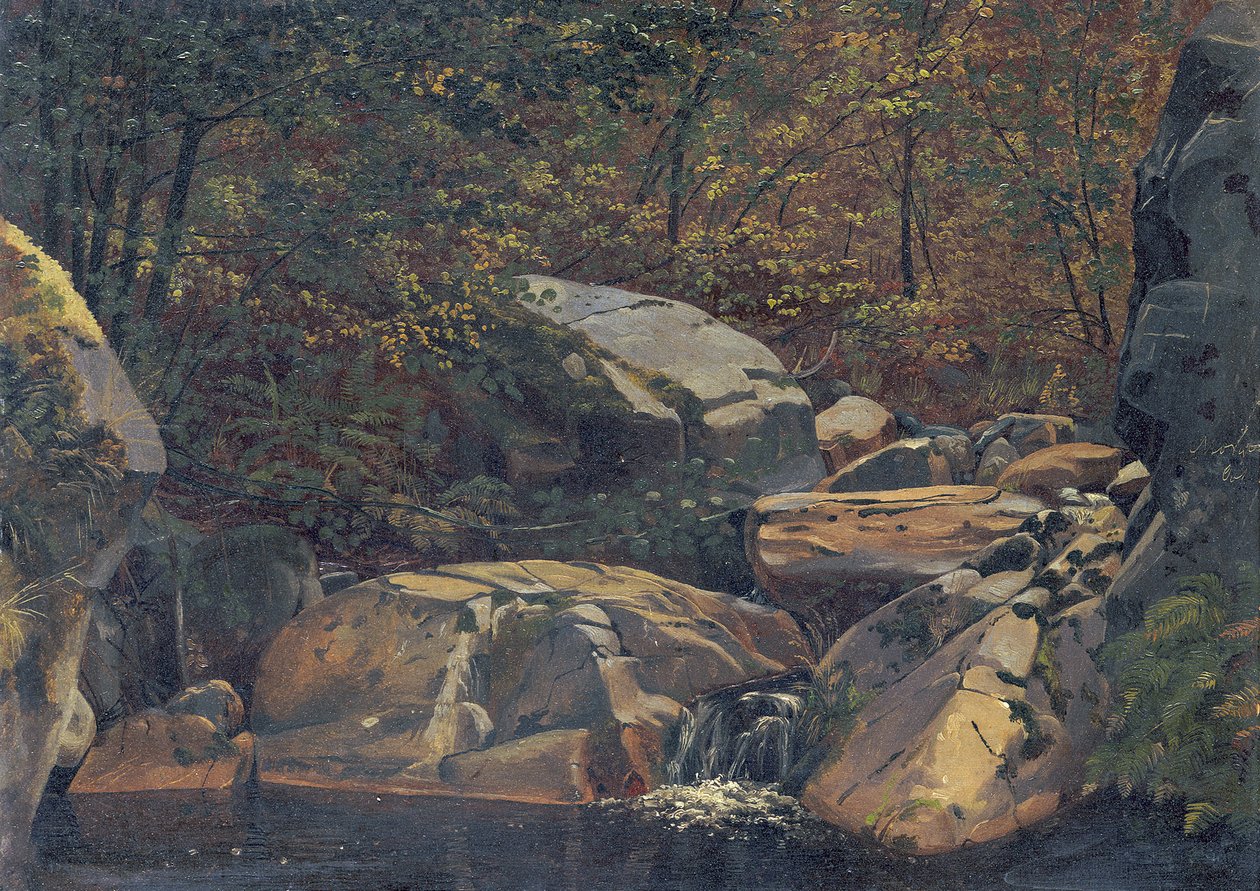 Bosbeek (Waterval tussen rotsblokken) door Carl Morgenstern