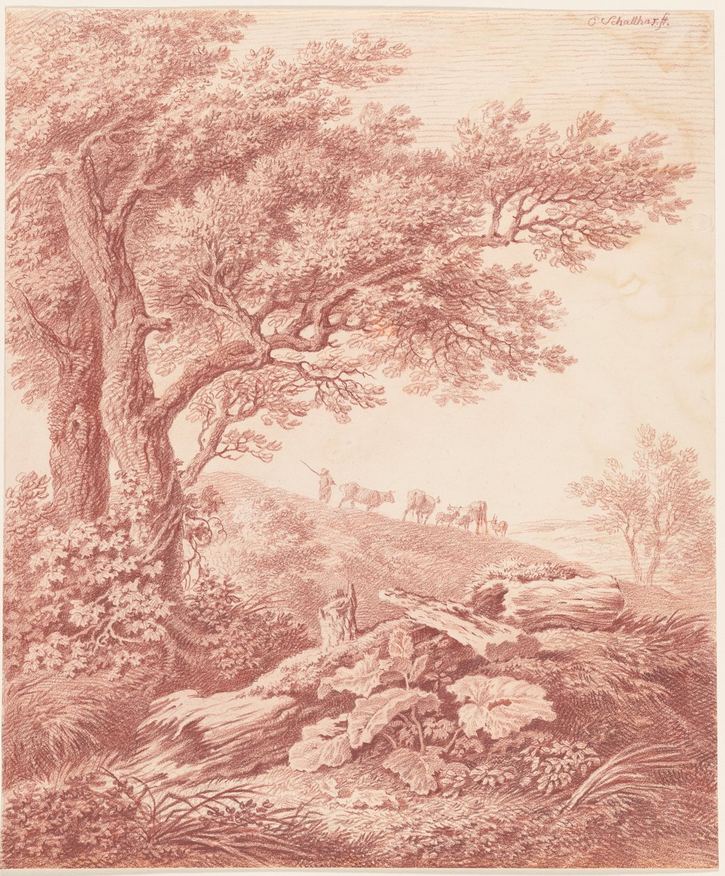 Oude Bomen in een Pastoraal Landschap door Carl Philipp Schallhas