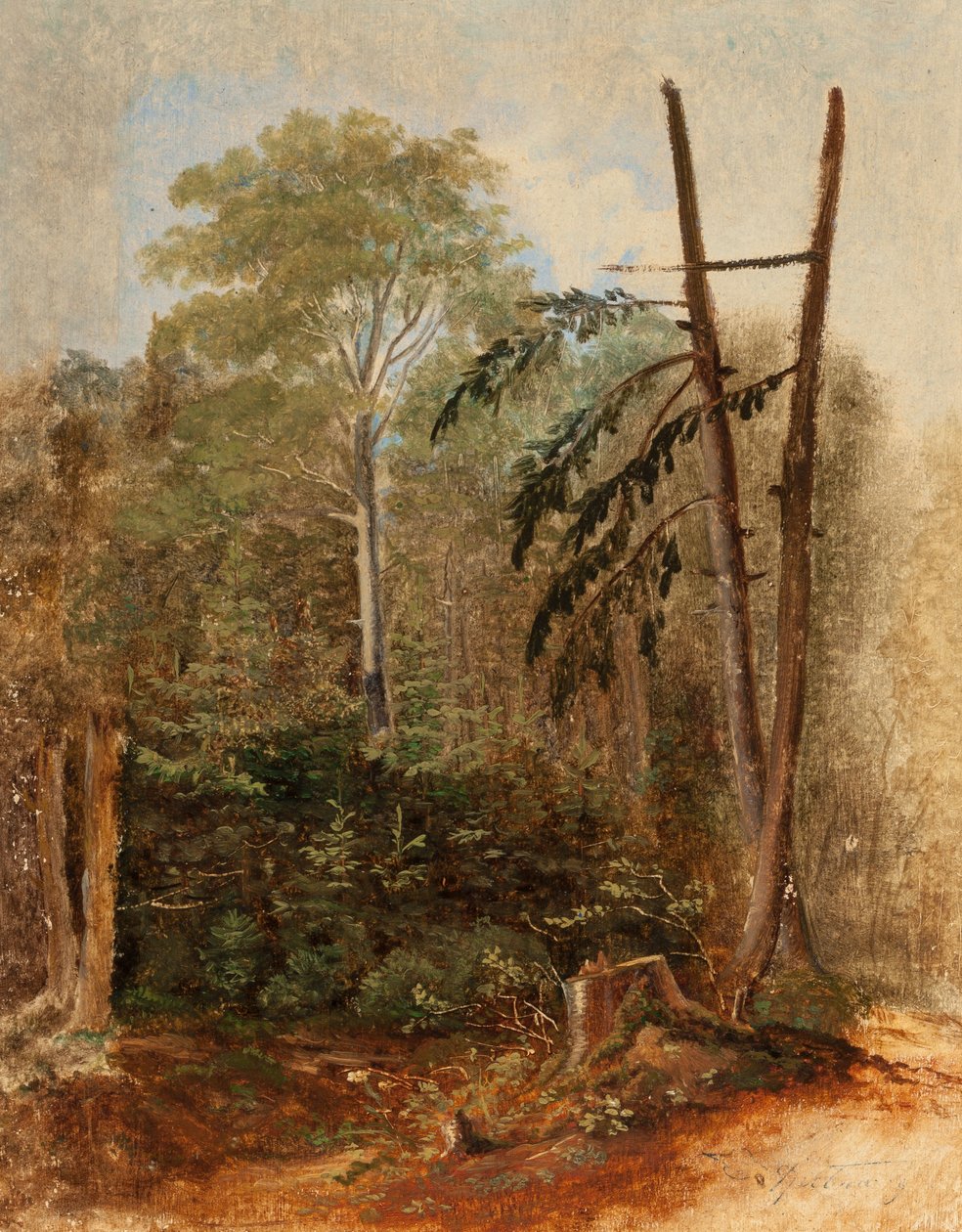 Studie van een boslandschap door Carl Spitzweg