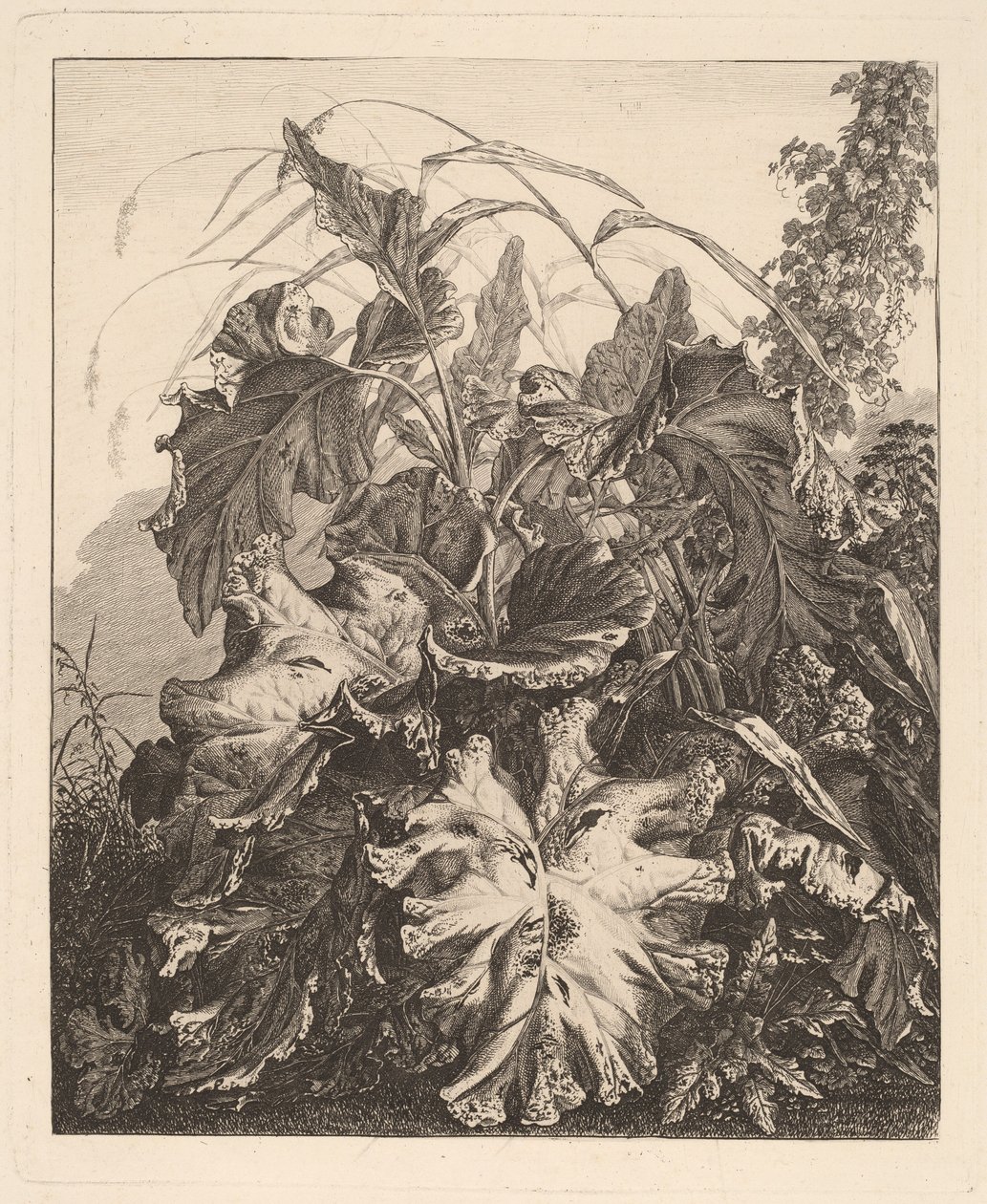 Bladgroen met riet door Carl Wilhelm Kolbe