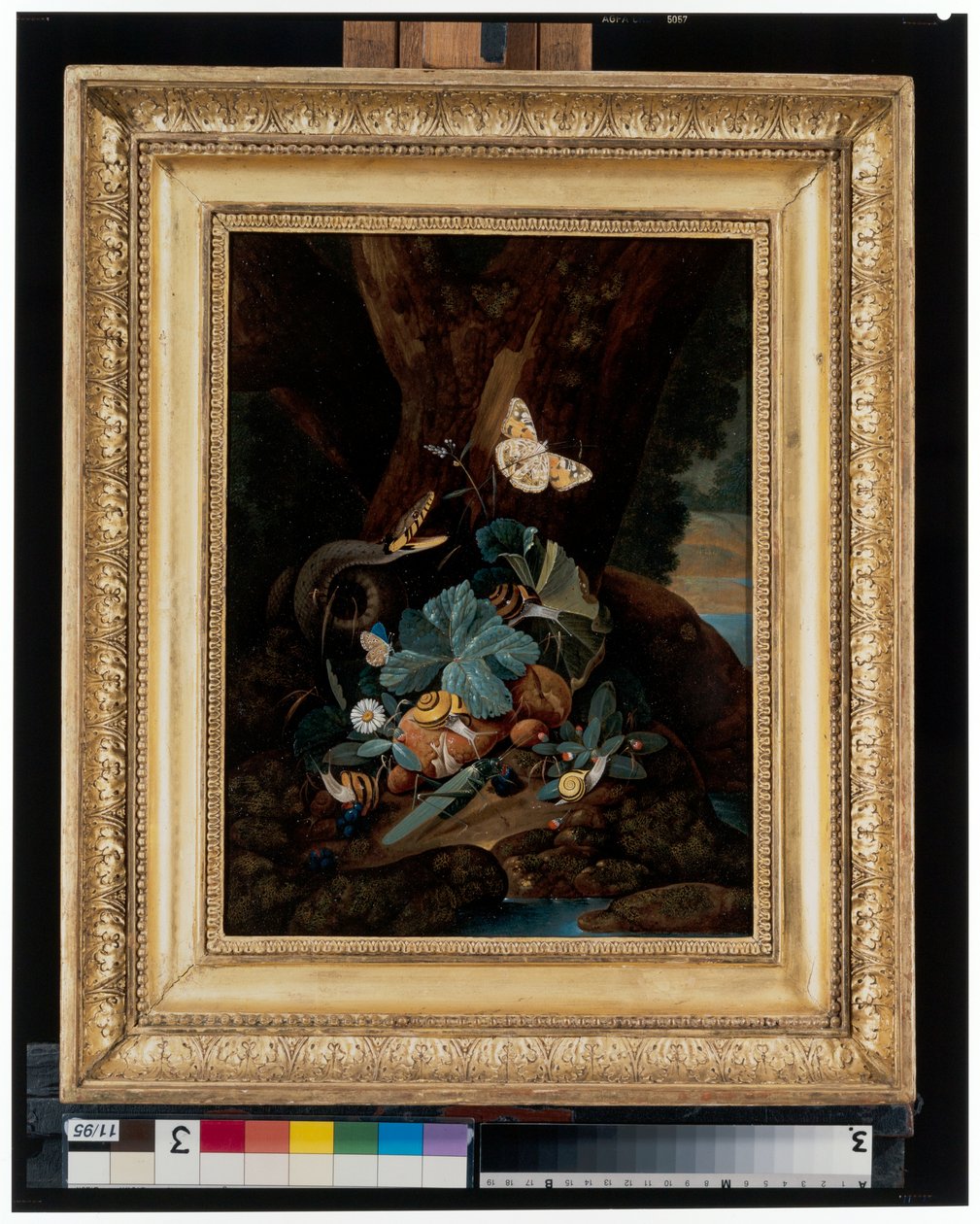 Bosbodem stillevens met slakken, slangen, hagedissen en vlinders door Carl Wilhelm de Hamilton
