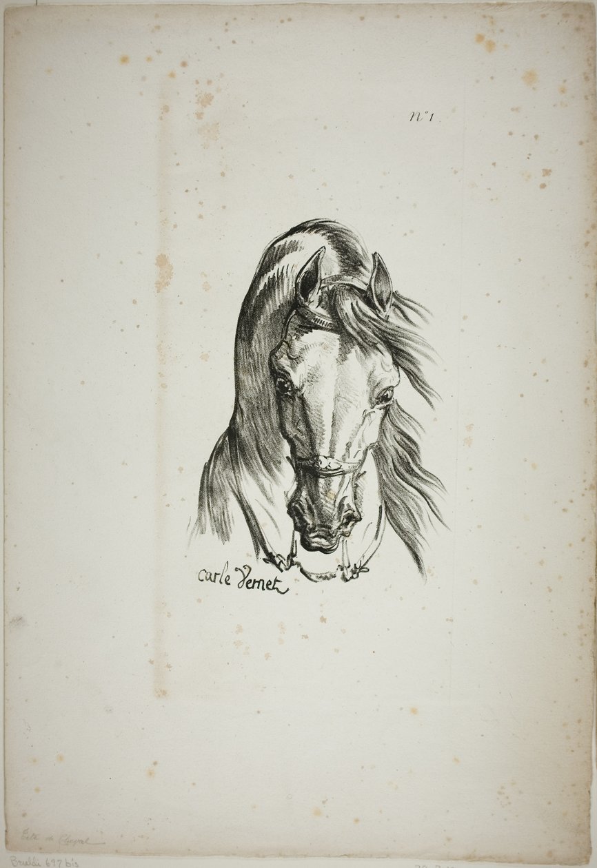 Detail van paardenhoofd, vergroot tot drievoudige grootte, Normandische Koninklijke Garde, nr. 1 door Carle Vernet