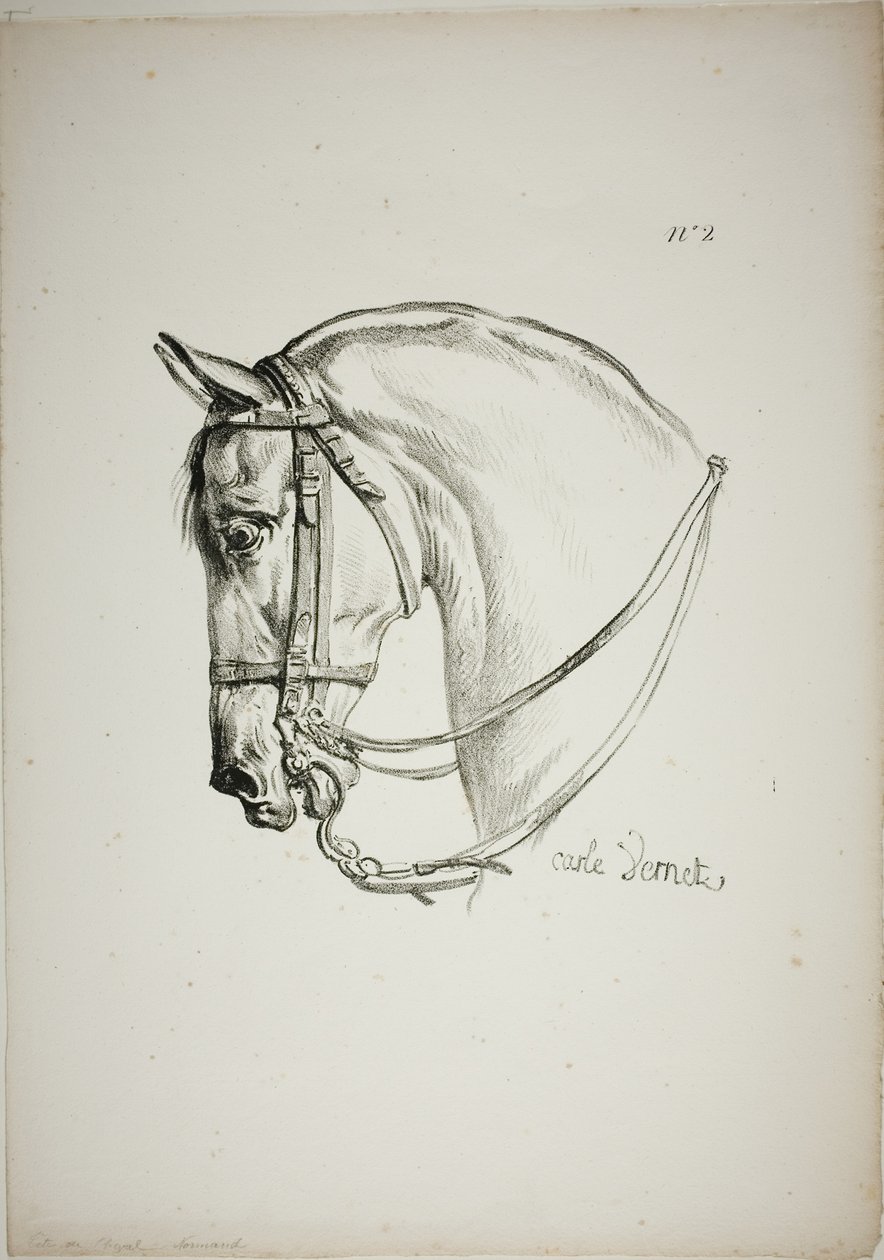 Detail van paardenhoofd, vergroot tot drievoudige grootte, Normandische Koninklijke Garde, nr. 2 door Carle Vernet