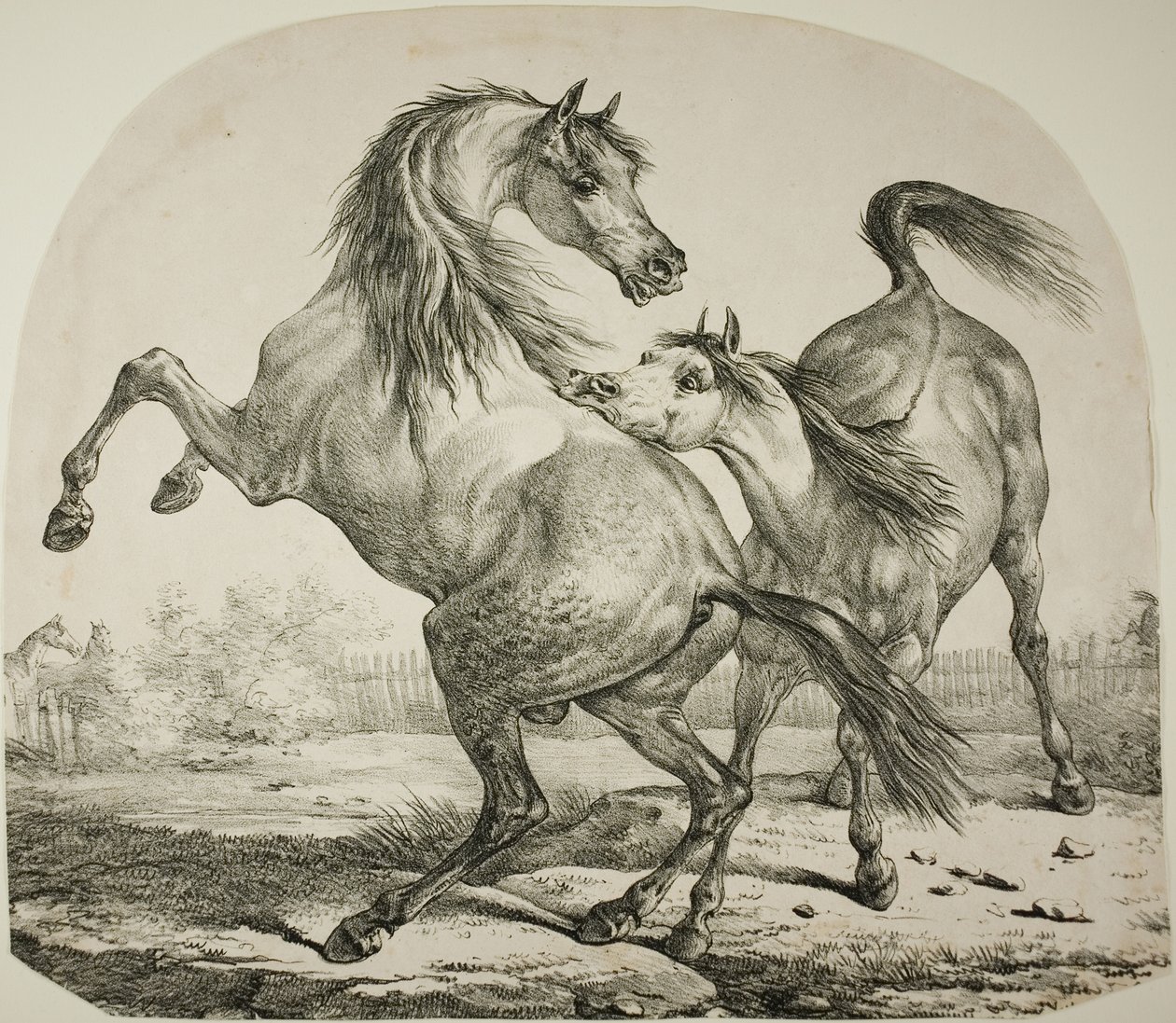 Wilde Paarden die Vechten door Carle Vernet