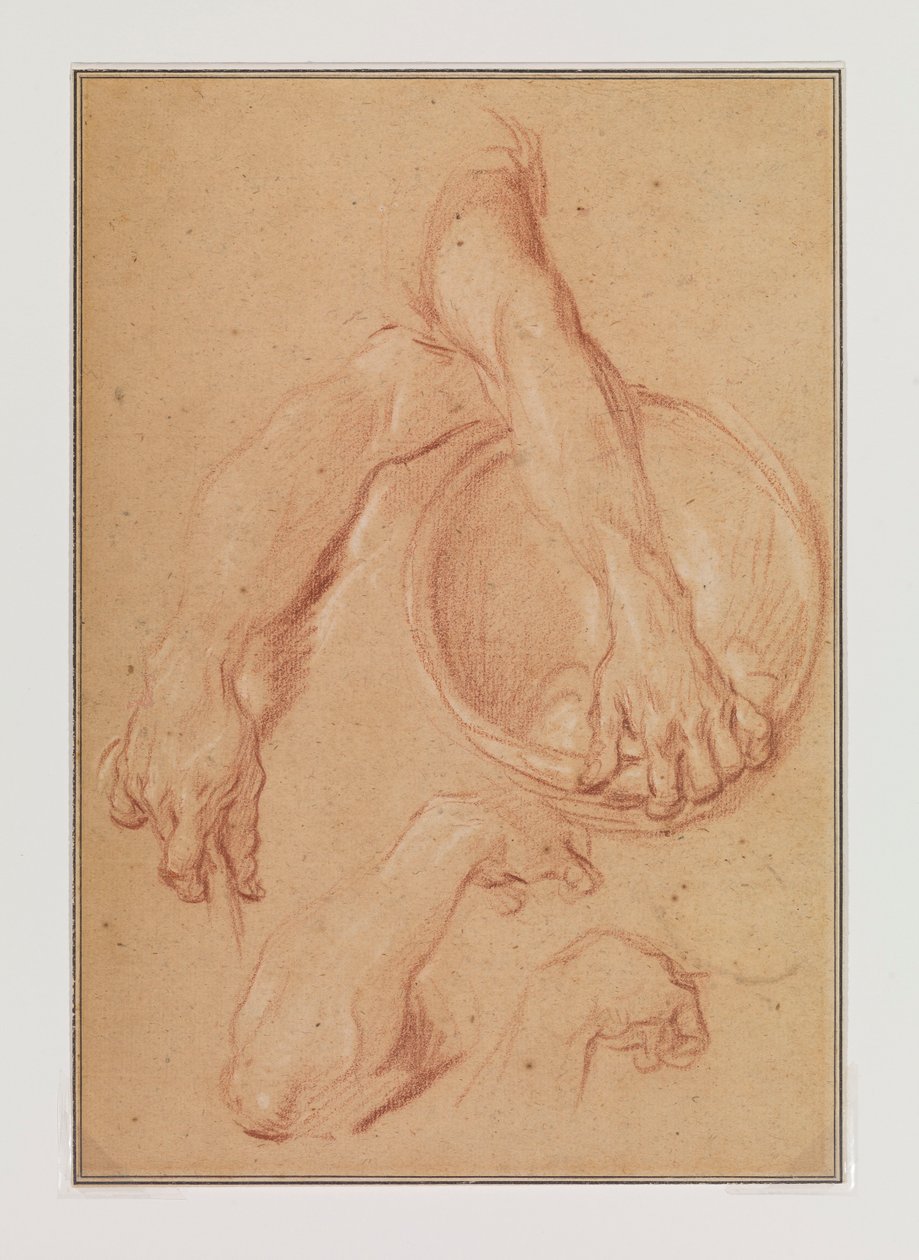 Studien eines Arms door Carle van Loo